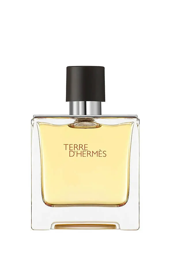 Hermes Terre d'Hermes edt 100 ml, Франція